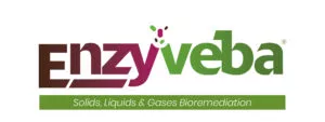 logo enzyveba